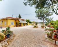 Venta - Casa - Crevillent - Comunidad valenciana