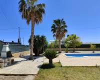 Venta - Chalet - Elche - Altabix