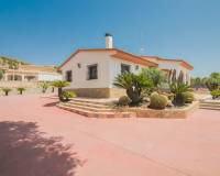 Venta - Chalet - Elche - Bonavista