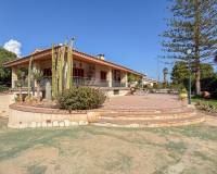 Venta - Chalet - Elche - Bonavista