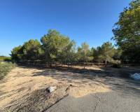 Venta - Chalet - Elche pedanias - Daimes