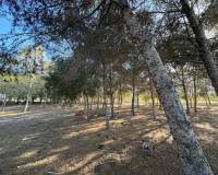 Venta - Chalet - Elche pedanias - Daimes