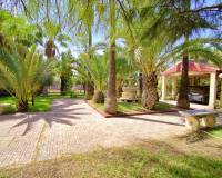 Venta - Chalet - Elche pedanias - PEÑA LAS AGUILAS