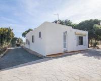 Venta - Chalet - Elche pedanias - PEÑA LAS AGUILAS