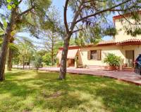 Venta - Chalet - Elche pedanias - PEÑA LAS AGUILAS