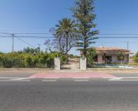 Venta - Chalet - Elche pedanias - Perleta