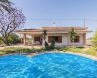 Venta - Chalet - Elche pedanias - Perleta