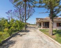 Venta - Chalet - Elche pedanias - Perleta