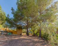 Venta - Chalet - Monovar - Monover - LA ROMANETA