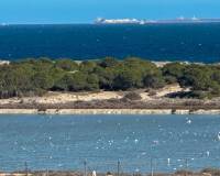 Venta - Piso - La marina - El pinet