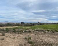 Venta - Terreno rural - Elche pedanias - LA MARINA