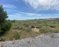 Venta - Terreno rural - Elche pedanias - LOS BALSARES