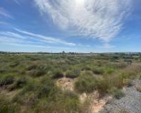 Venta - Terreno rural - Elche pedanias - LOS BALSARES