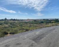 Venta - Terreno rural - Elche pedanias - LOS BALSARES